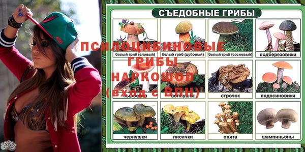 крисы Сосновый Бор