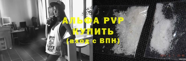 крисы Сосновый Бор