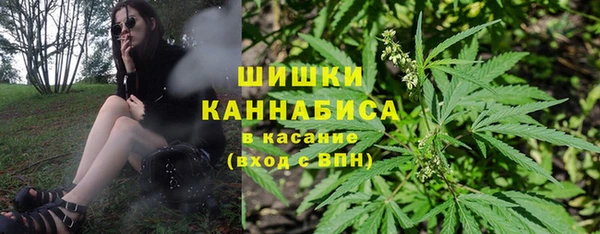 крисы Сосновый Бор