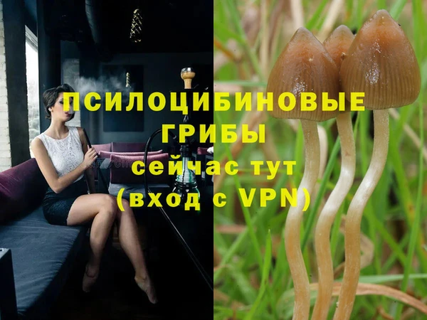 крисы Сосновый Бор